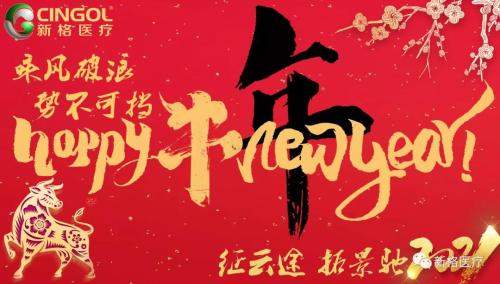 Ежегодное итоговое собрание Cingol 2020